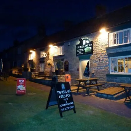 The Royal Oak אורחן